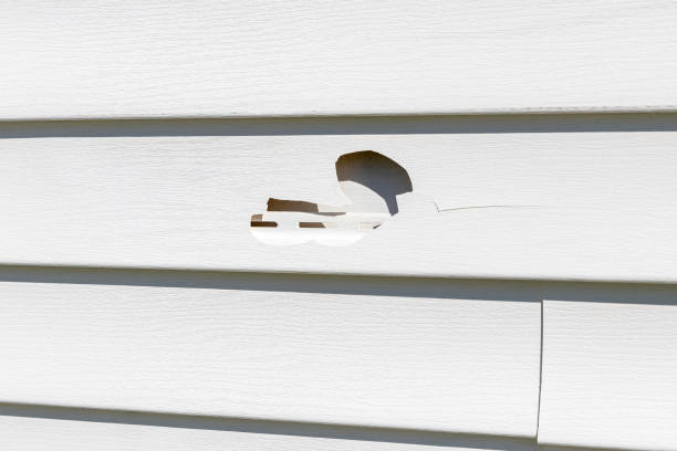 Best Vinyl Siding Installation  in Tuskegee, AL