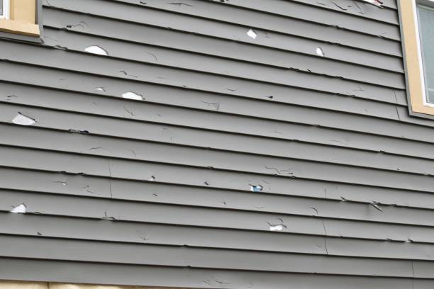 Best Siding Replacement  in Tuskegee, AL