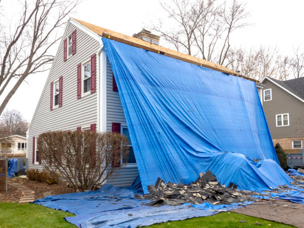 Best Storm Damage Siding Repair  in Tuskegee, AL